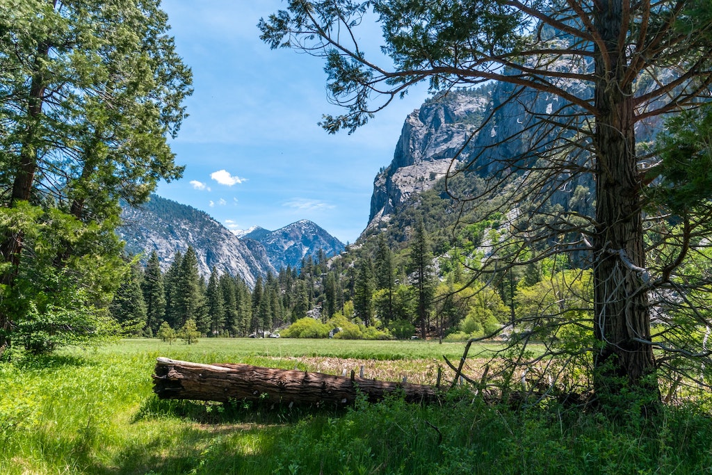 Sequoia & Kings Canyon National Park USA Photo Collection