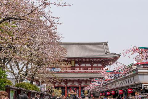 Kaminari Gate with Sensoji Temple in the background