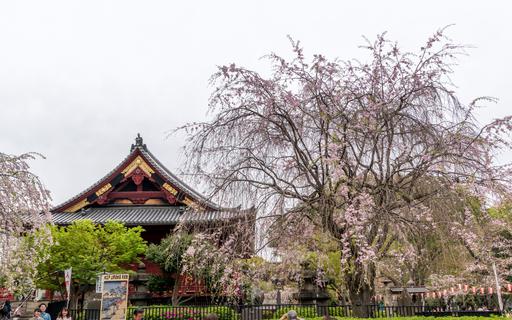 Ueno Park