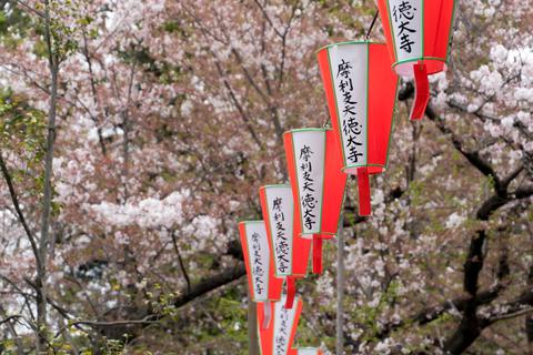 Ueno Park