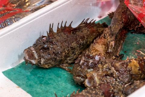 Tsukiji fish market
