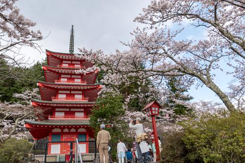 Chureito Pagoda
