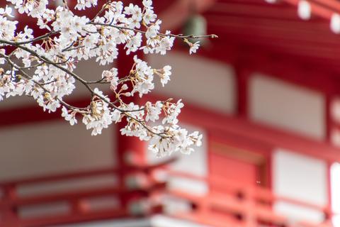 Chureito Pagoda