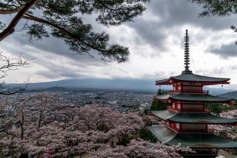 Finally, a small gap in the clouds allowed us to take a glimpse at Mount Fuji