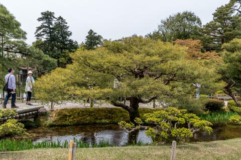 Kenrokuen Garden in Kanazawa