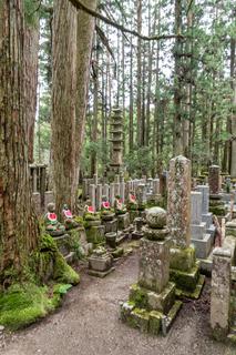 Walking to Okunoin