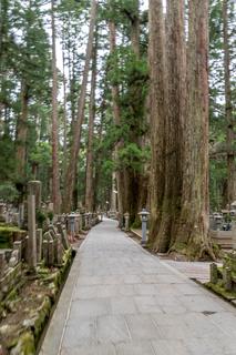Walking to Okunoin