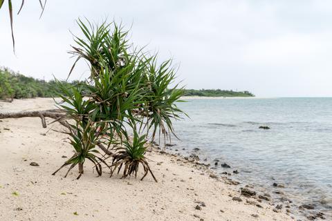 Yonehara beach